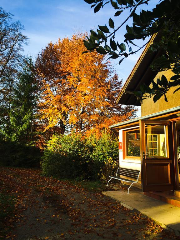 Le Chalet Luttenbach-près-Munster Екстериор снимка