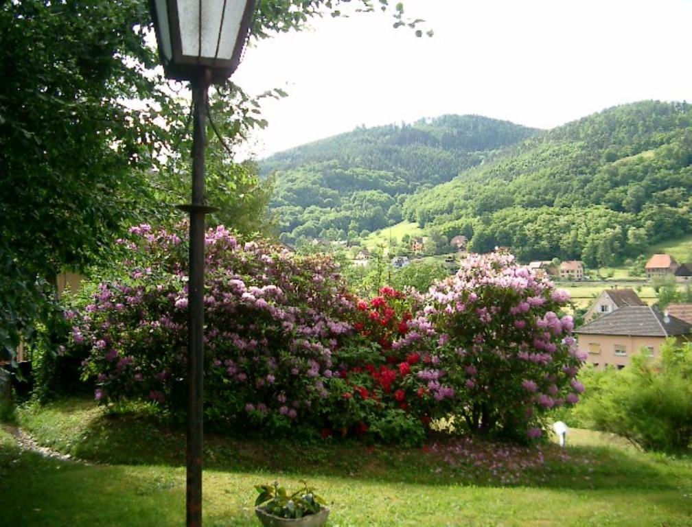 Le Chalet Luttenbach-près-Munster Екстериор снимка